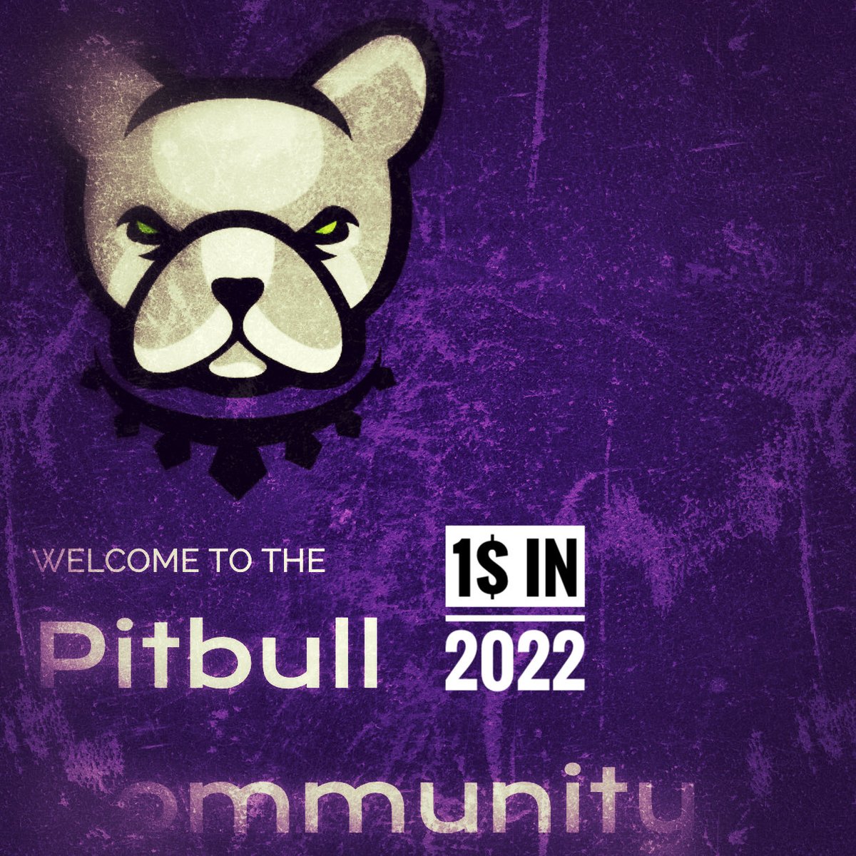 Babydoge_PL's tweet photo. #pitbull #pittoken we will see very soon 0,01$ buy now the dip and hodl. We are going together to the 1$ #pit its new #doge #shibainu #safemoon #safemars #safebtc #safegalaxy #elongate #buttertoken #pitbull #mdao at 1$ in the 2025 per Coin #NFTmarketplace #safetesla #nft #nfts https://t.co/mKMlQVpvXU