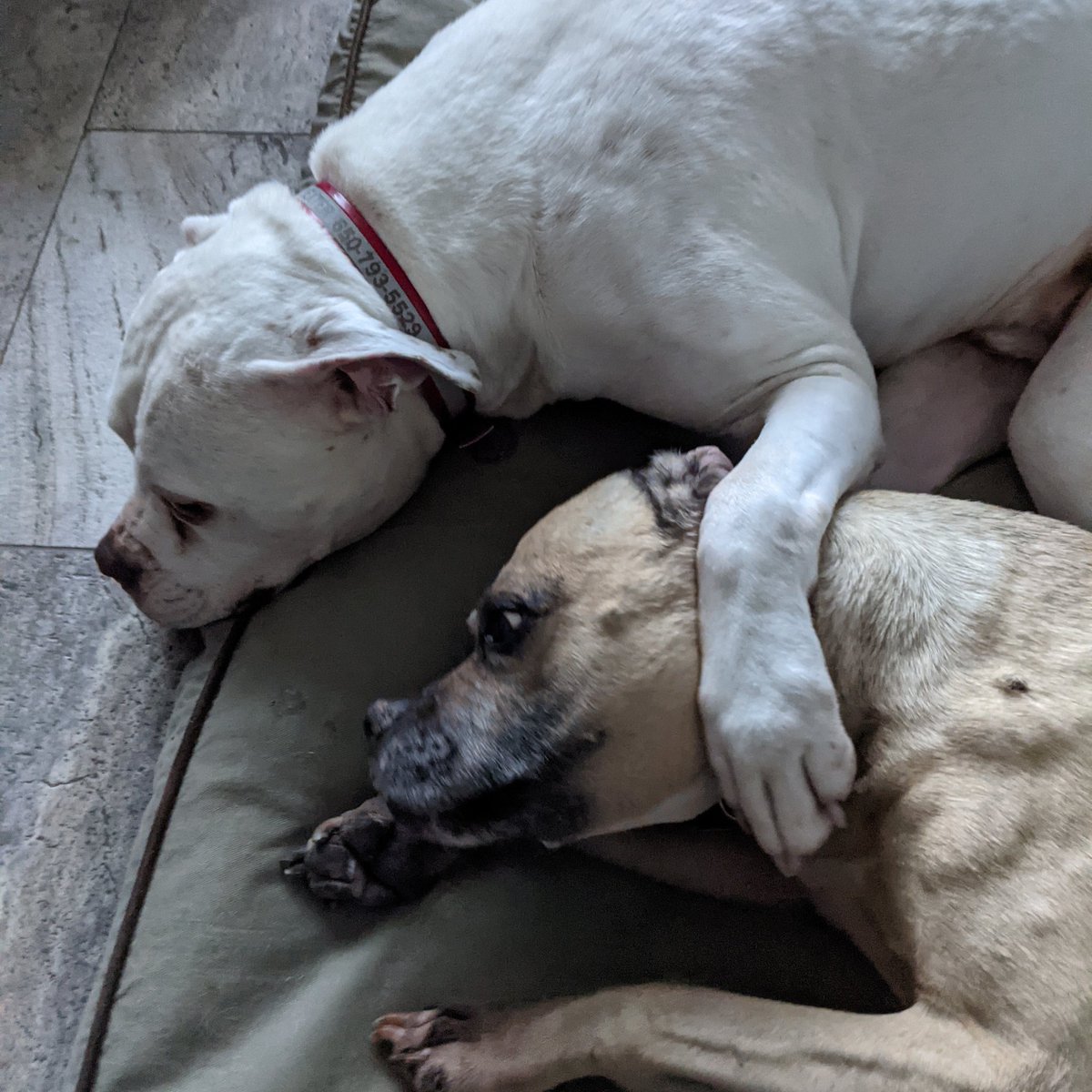 Russ Laraway - bityl.co/Avma tweet media