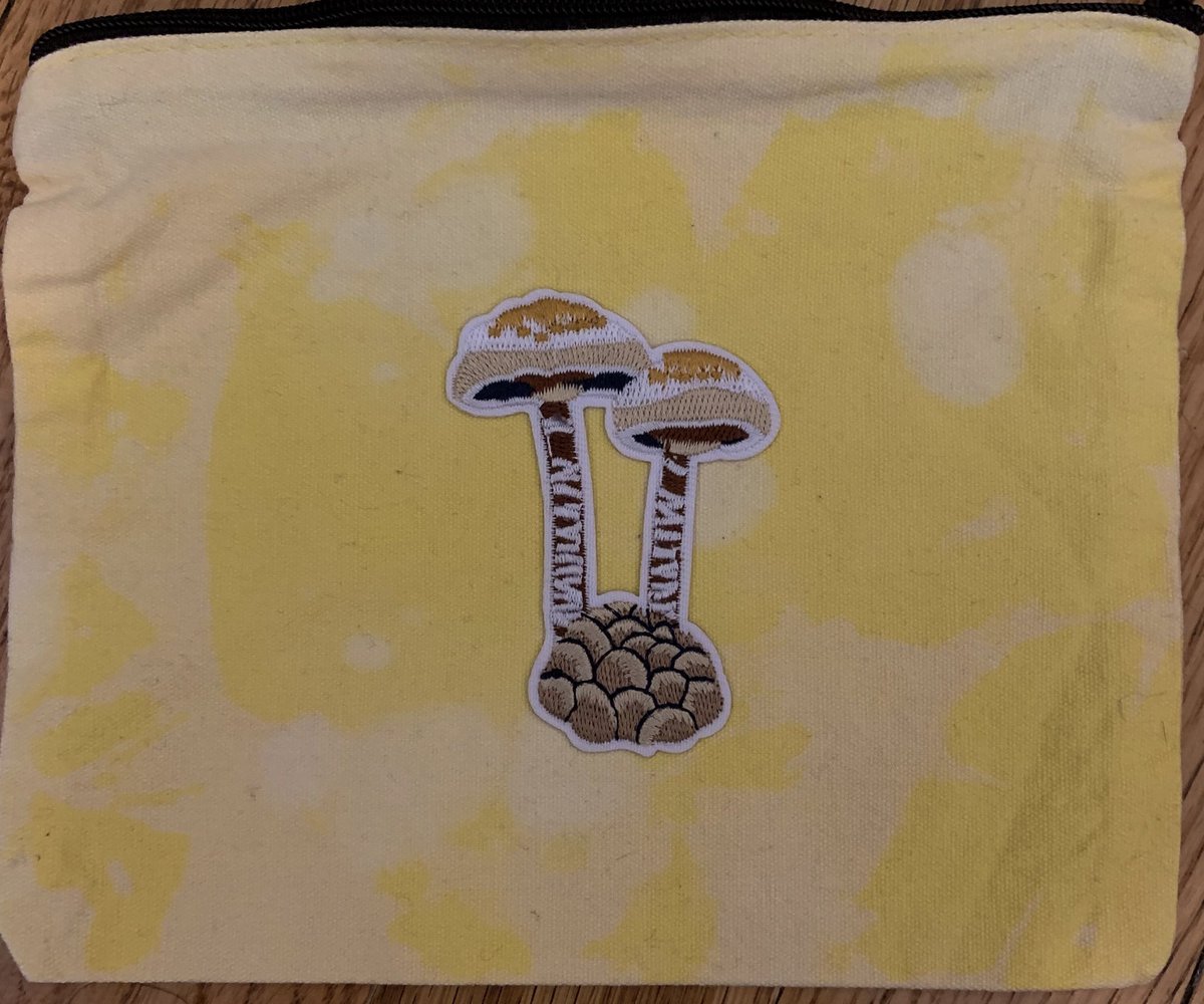 1999customsnyc's tweet image. Super cute mushroom makeup bags just dropped ❤️🌱
1999customsnyc.com