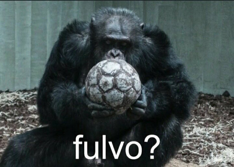 A_Martz10's tweet photo. @DoklaM12 @FCFSeleccionCol @SeleccionPeru @GolCaracol https://t.co/Vziocnt0fV