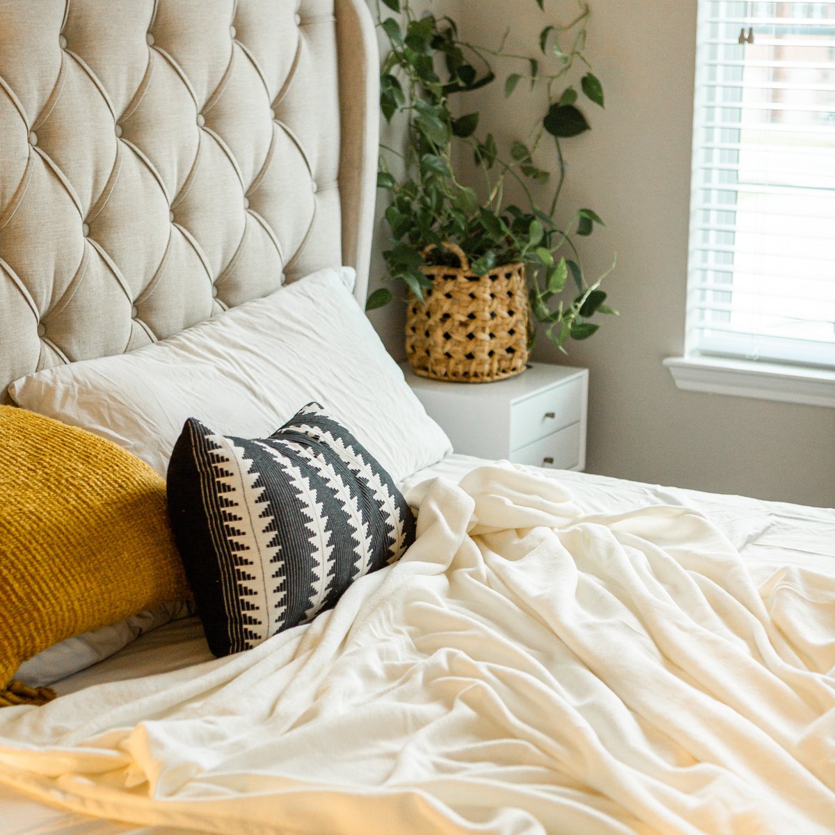 Jeff Segura tweet media