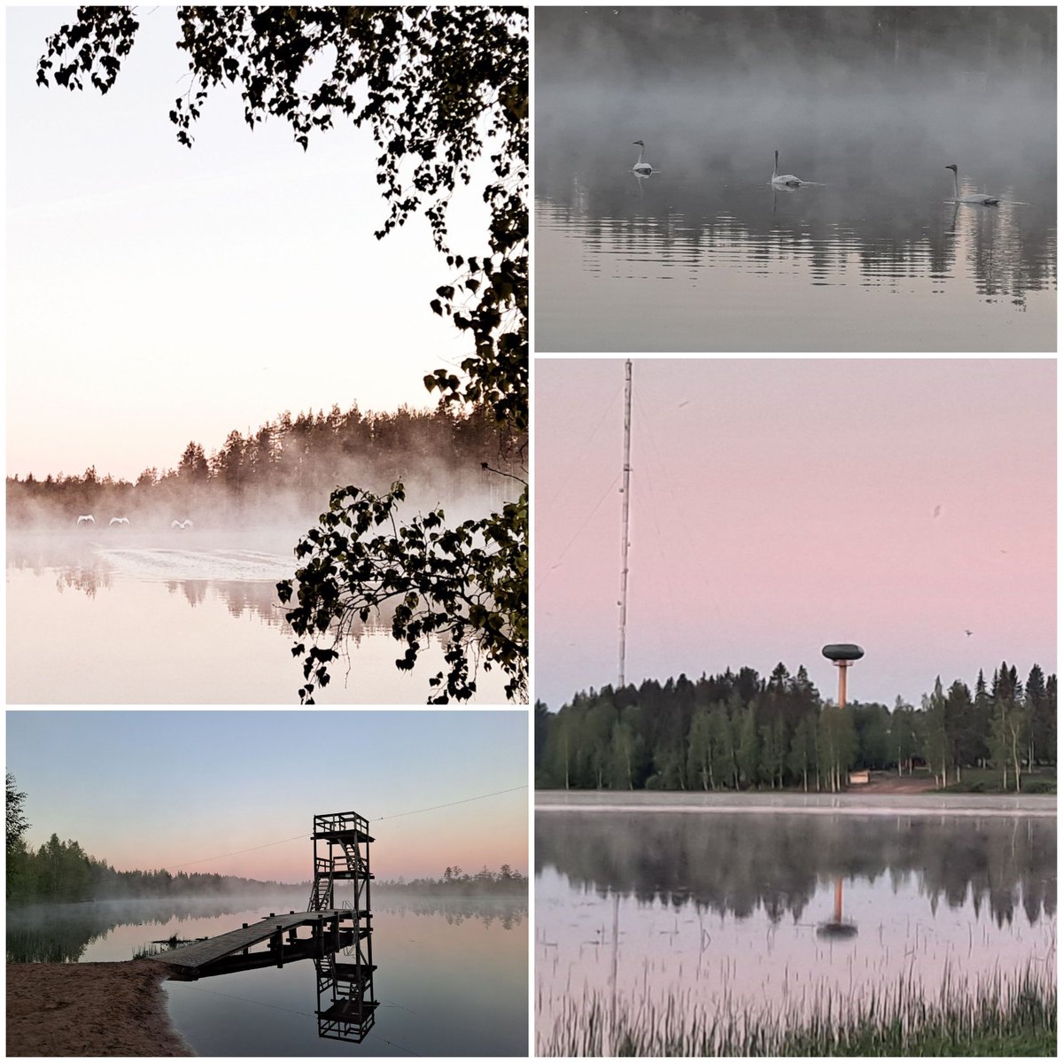 Ullapia's tweet photo. Elämän pieniä iloja💕 https://t.co/Q7Zds2JkJu