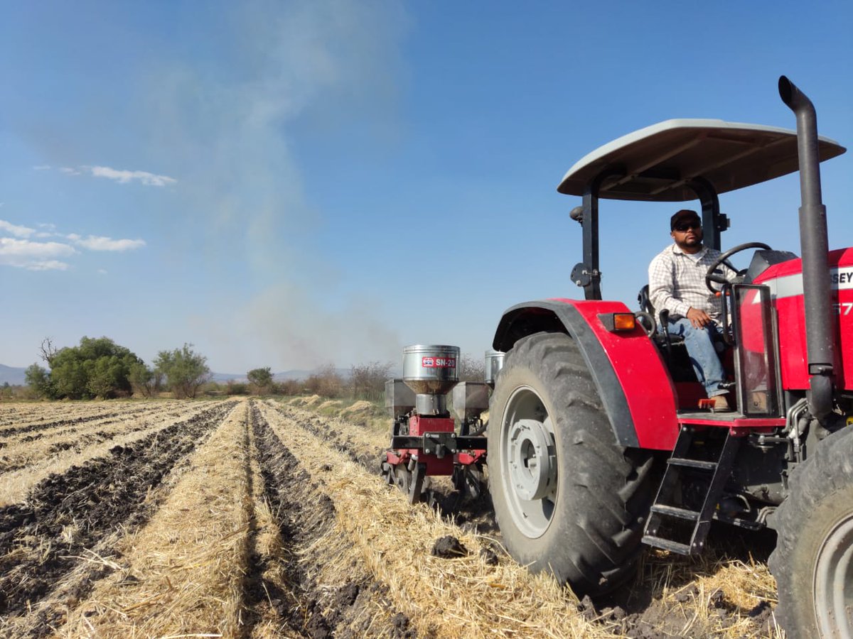MasAgroGto's tweet photo. 🌽 🚜 Sembramos el ciclo 11 de la plataforma de investigación #MasAgroGuanajuato en Pénjamo. Ésta ofrece soporte científico y técnico a las estrategias #NoQuema, #RetoRastrojo y #RedDeCultivosDeServicioParaGuanajuato. También opera como central de maquinaria para los productores. https://t.co/d38p9D9KWG