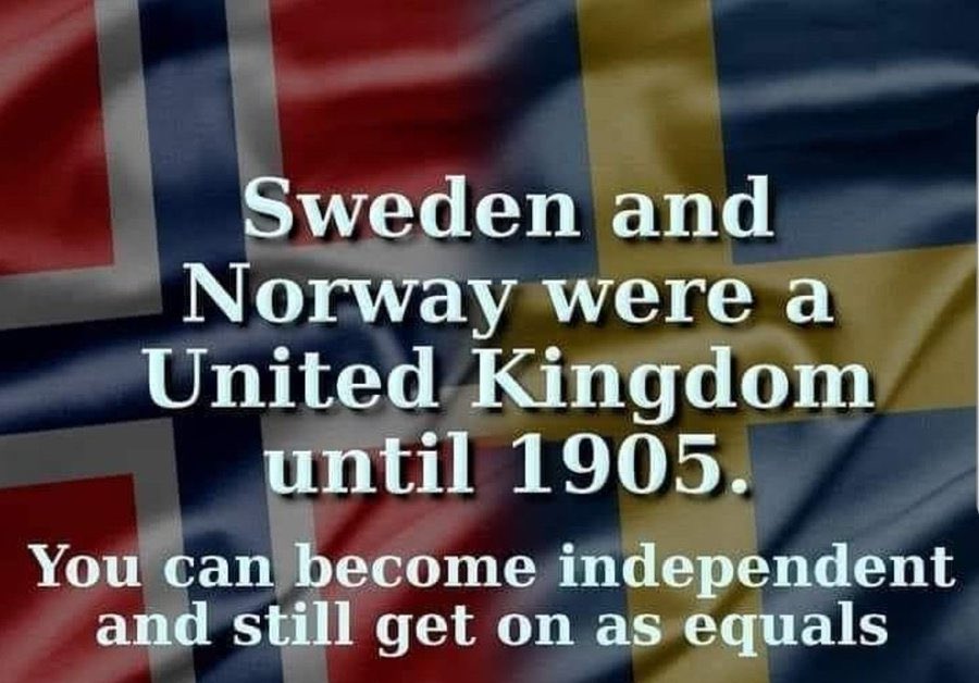 Donald Munro Danthewhippet Twitter