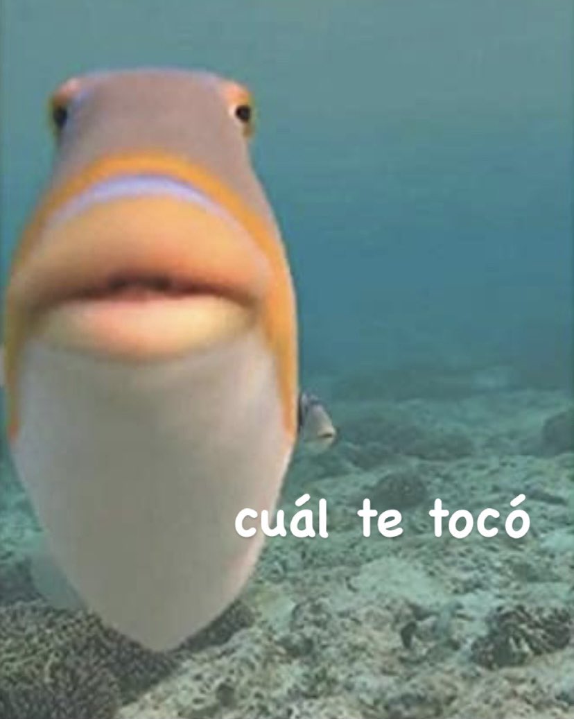 alguien: se vacuna 

nosotrxs: