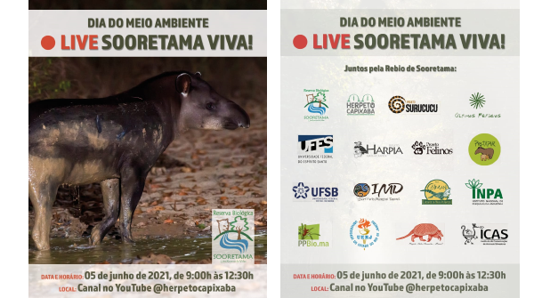 jacarologo's tweet photo. No próximo sábado vai rolar uma super live em defesa da Reserva Biológica de #Sooretama - ES, ameaçada pela duplicação da rodovia BR 101. Vamos compartilhar!! https://t.co/8pIyS47Pkp