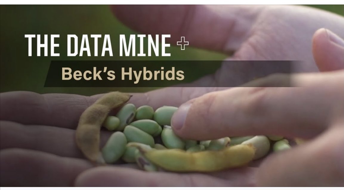 PurdueResFound's tweet photo. 🌾 @BecksHybrids came to @LifeAtPurdue as a longtime research partner, now with a location at @DiscoveryPkDist, they hope to leverage the resources provided by #Purdue to better its supply chain.

Enter: The Data Mine

📺 https://t.co/CviWmFPnNN

#purduedatamine #datascience https://t.co/u2kBwXnngc