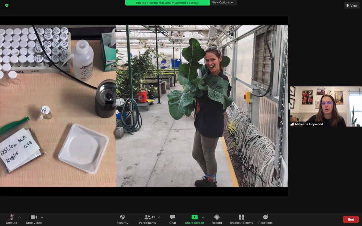 Thank you Salk Institute scientist Makenna Hopwood for sharing your passion for science and your work on  the Harnessing Plants Initiative with 6th graders <a href="/OASharks/">Ocean Air</a> .  It's exciting to hear how plant genetics can be used to fight climate change!
<a href="/SalkEducation/">Salk Education Outreach</a> <a href="/DMSEF8/">DelMarSchoolsEduFDN</a> #DMUSD