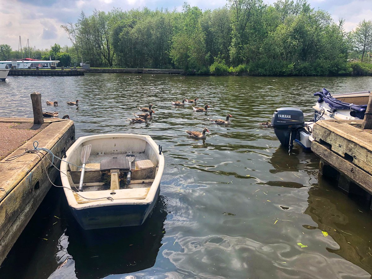 simonesaysgo's tweet image. Totally different world out here! 

#norfolkbroads