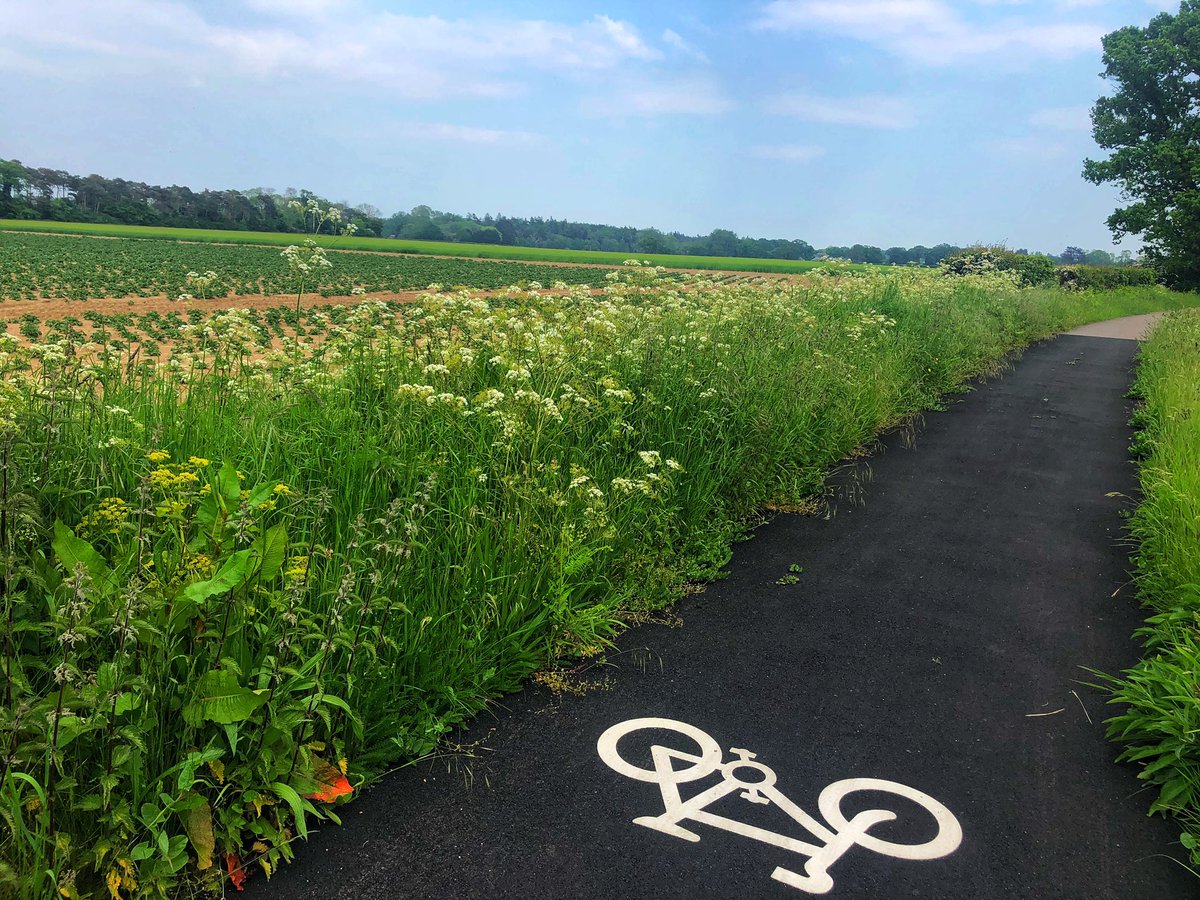 simonesaysgo's tweet image. Totally different world out here! 

#norfolkbroads