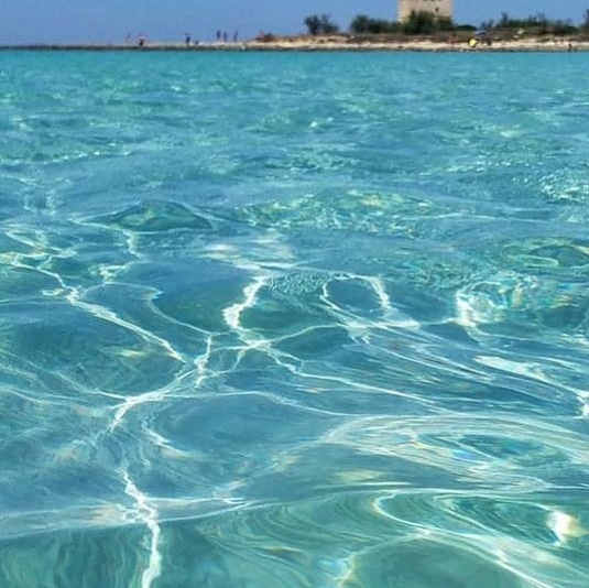 FaithInMee1's tweet image. This Is Where It's At!!
          😎🌄😎
#beach #calibreeze #sunshine