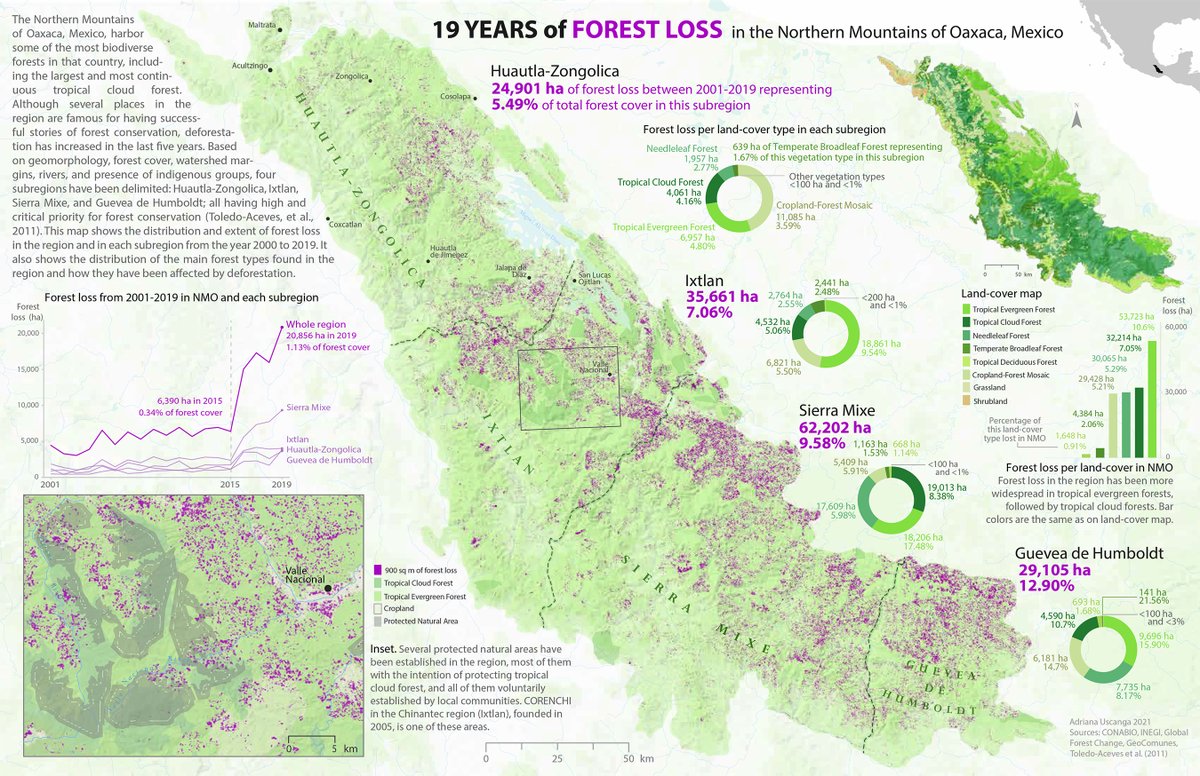University of Oregon Geography tweet media