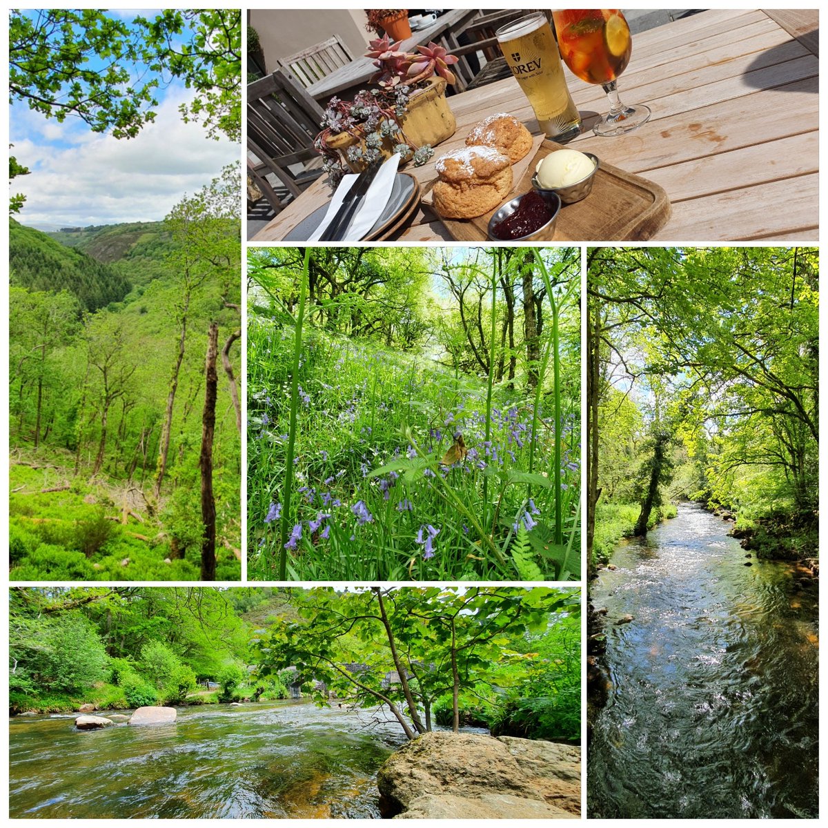 Lush day on Dartmoor.

#lovewhereyoulive #Devon