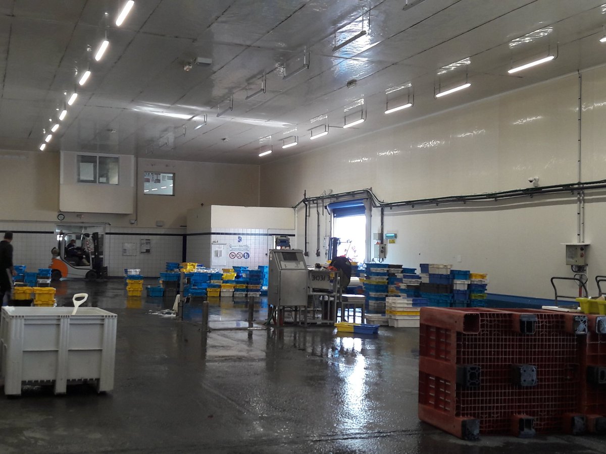 *AUDIERNE *🐟 Présentation à Michaël Quernez Président du Syndicat mixte en amont du conseil portuaire du projet de réaménagement de la criée : 1M€ de travaux portés par le concessionnaire <a href="/CCI_Quimper/">CCIMBO Quimper</a> avec les aides de <a href="/SMPPPC/">Pêche et Plaisance de Cornouaille</a> et du #FEAMP <a href="/finistere_29/">Département du Finistère</a> <a href="/regionbretagne/">Région Bretagne</a>