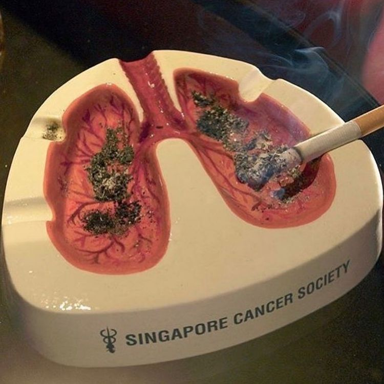 ARTIFAXING (@pedestrian) on Twitter photo 