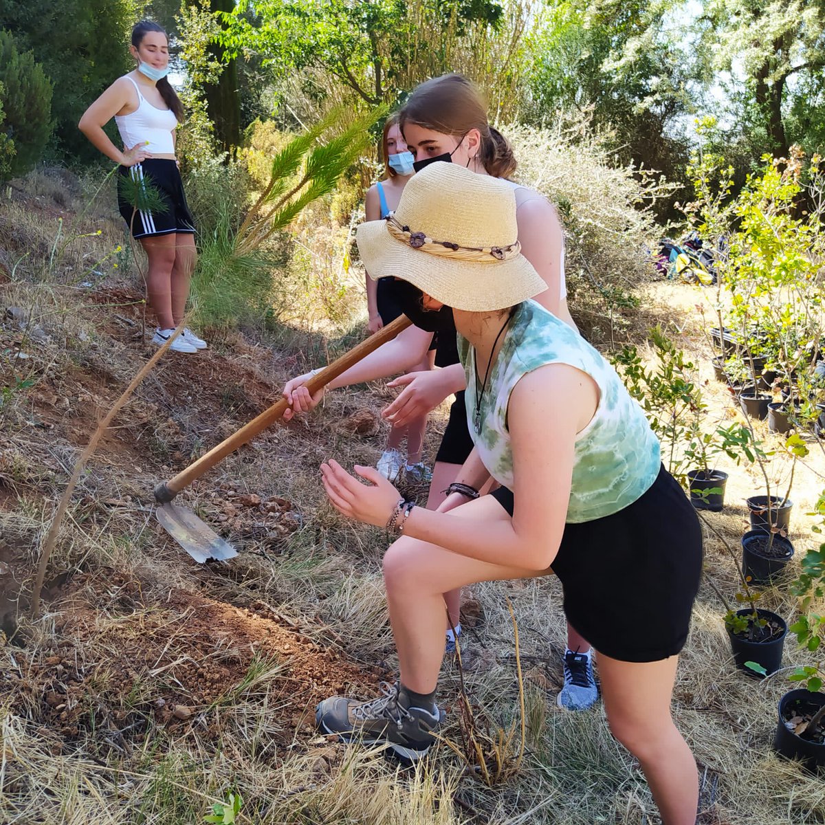 Escolaelcim's tweet photo. L'alumnat de 4t d'ESO, planta roures, alzines i pins a la zona de Can Candi, en un APS dins el marc del projecte Erasmus+
#activecreativeenterprising
#terrassamediambient
#ErasmusPlus
#etwinning_europe https://t.co/7R07klno2n