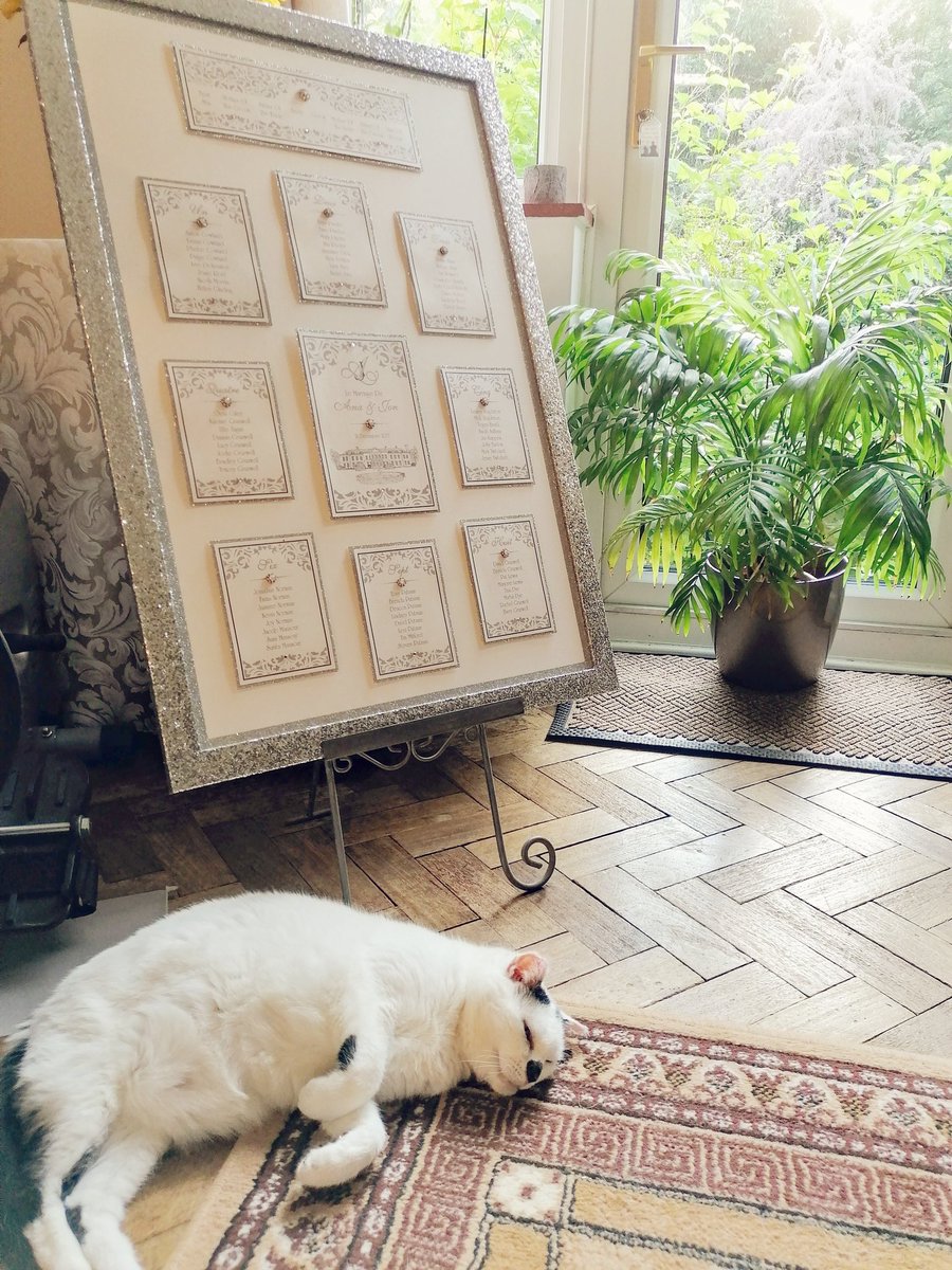 LauraBrambles's tweet image. Brambles Stationery is back 😊
My first face to face wedding booking in almost a year.
With the most awesome people, and a little help from Brambles newest member 😍