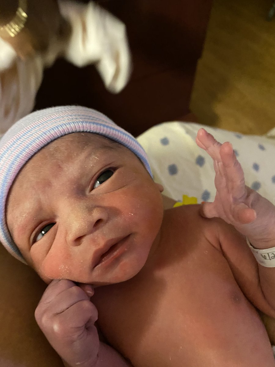 mamaashllley's tweet photo. Apollo Gray💙🤍 https://t.co/afksQ3sTqN