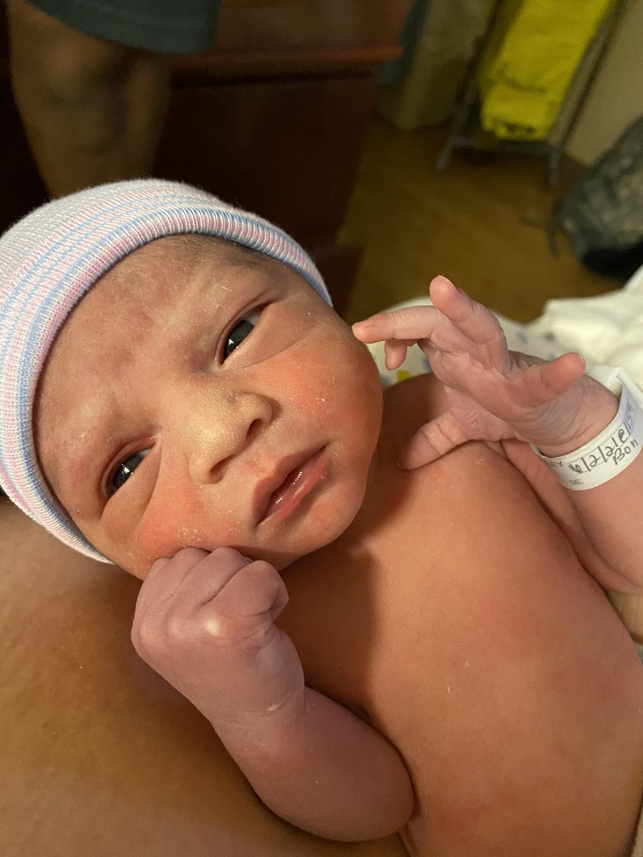 mamaashllley's tweet photo. Apollo Gray💙🤍 https://t.co/afksQ3sTqN