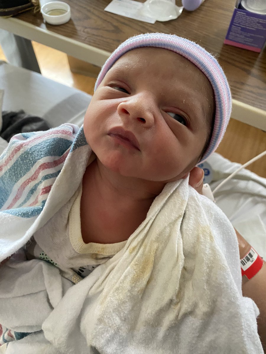 mamaashllley's tweet photo. Apollo Gray💙🤍 https://t.co/afksQ3sTqN
