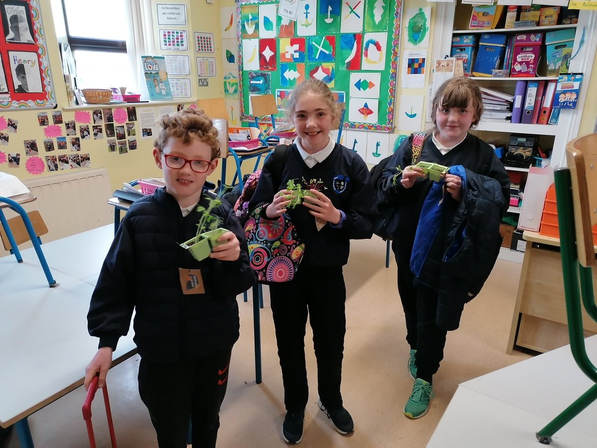 RockmountNS's tweet photo. Ms. Power &amp; the Green School committee have been working hard on the 'Grow it Forward' initiative organised by Kilkee Library.The seeds we received from the library have started to sprout so they are making their way to new homes in order to 'grow it forward'!@GreenSchoolsIre https://t.co/hxgVMKdnPS