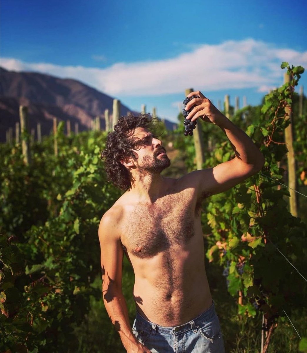 tierradelvino's tweet photo. @IsocaGarcia 👇👇👇 @Haciendovino Enologo #ReyDeJunin by Tim A ( casado y con hijos) no lo acosen y Ale López... No mientas más #Isoca https://t.co/POSOCLAGxK