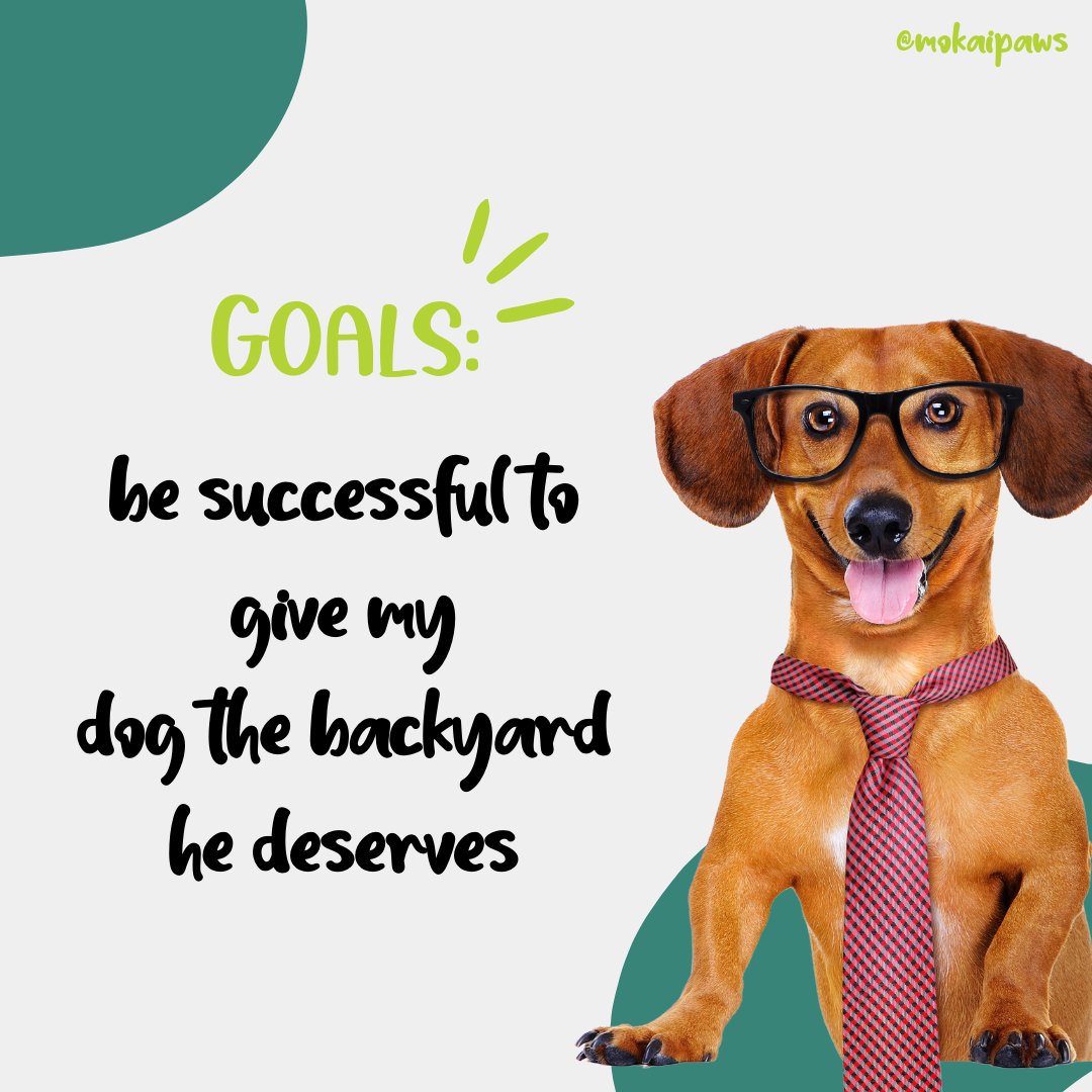 mokaipaws's tweet image. Who else has this goal in mind? 😄
.
.
.
#mokai #mokaipaws #dogowner #dogsofinstagram #dog #dogs #doglover #doglife #doglovers #puppy #dogstagram #dogmom #dogoftheday #puppylove #dogtraining #dogowners #dogsarefamily #instadog #doglove #dogsofinsta #doggo #ilovemydog #dogo