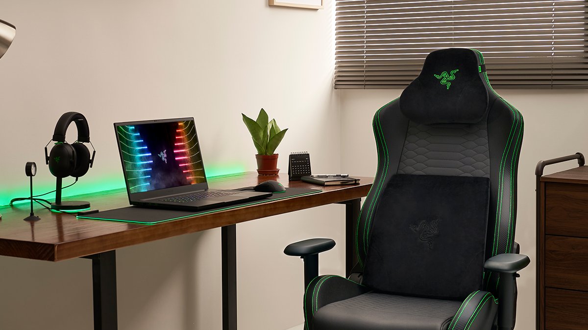 Lumbar Support Pillow - Razer Lumbar Cushion