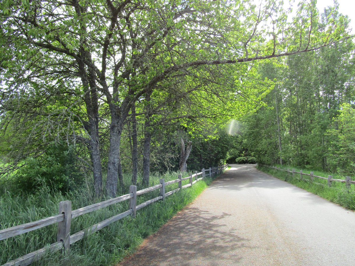 CommhealthWA's tweet photo. June 5th is National Trails Day! Celebrate by getting in a good walk or hike on any of Pierce County's many and varied trails. Before starting a physical fitness regimen, consult your primary care provider. #GetWalking #NatureIsGood #commhealth https://t.co/f6F38EPXIJ