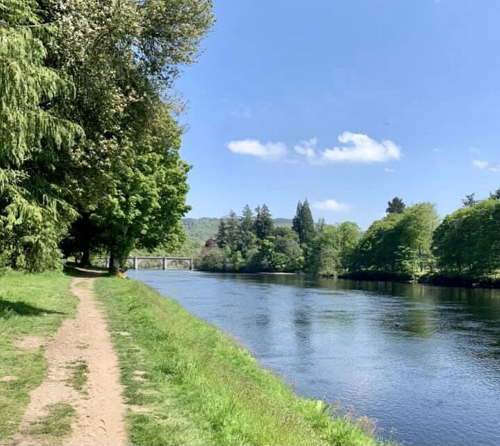 MattersPh8's tweet photo. Riverside strolls along the Tay to see the bluebells... great for your mental &amp; physical well-being 😎🍃🌸

#PH8CommunityMatters #Dunkeld #TayCountry #MentalHealth #Community #getoutside #RespectProtectEnjoy #Nature #Perthshire 
📸: Carole Wilson https://t.co/8bKBaliJ6c