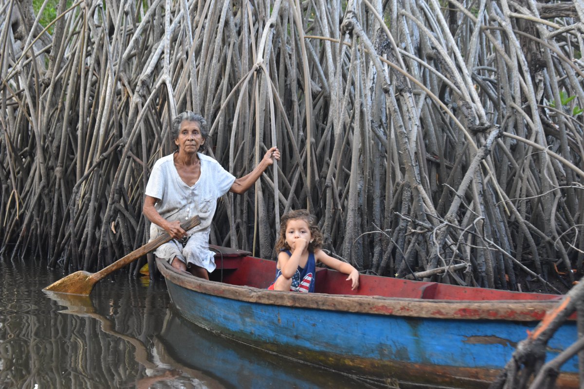 climatelinks's tweet photo. This year's #WorldEnvironmentDay theme explores ecosystem restoration. At #Climatelinks, we celebrate solutions to restore the planet's diverse ecosystems for future generations. Let us know how you are a part of #GenerationRestoration and taking action for climate. @USAIDEnviro https://t.co/3tAmY9iCgI