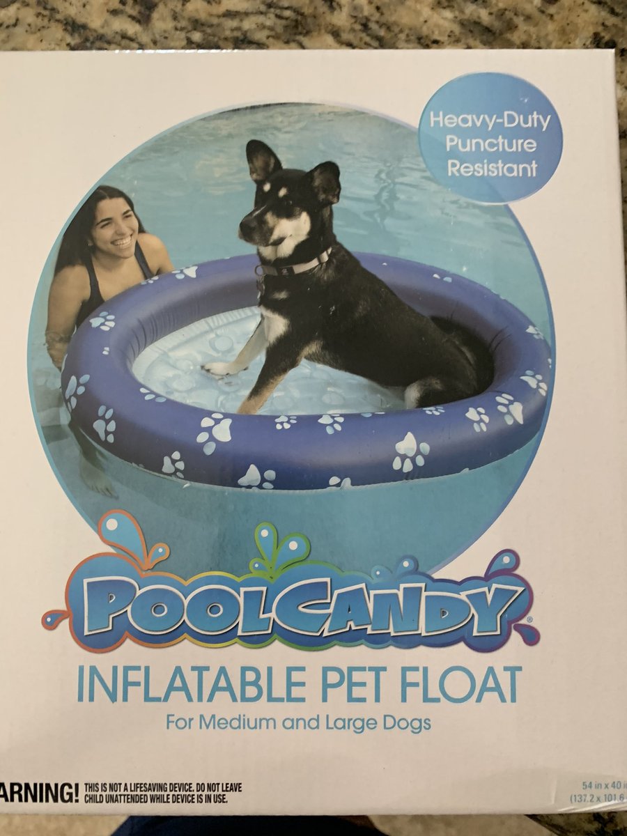 TarHeelBruin's tweet image. Hundley 🐶 gets her own pool float  #poolcandy