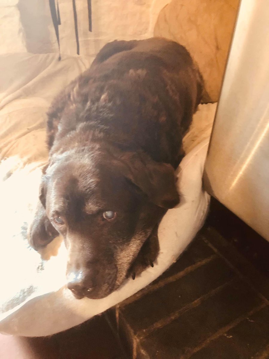 Derby Gaol tweet media