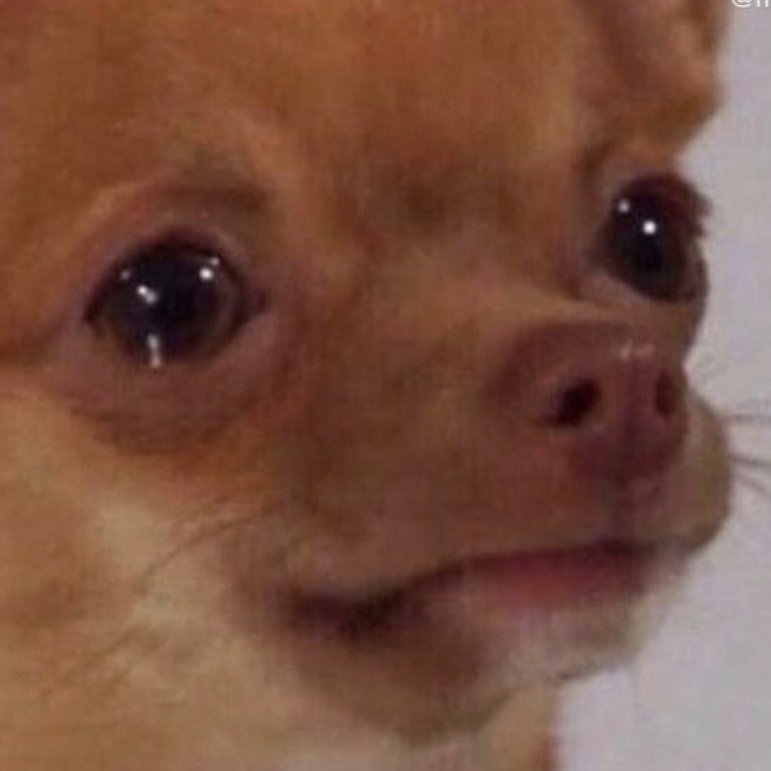 IStandByMadison's tweet photo. the way she said βhey, this is a story i hate, but i told it to cope with the pain. i'm so sorry if you can relateβ at the end of the song made me all teary !! #StreamReckless @madisonbeer https://t.co/7J9oyeVWh6