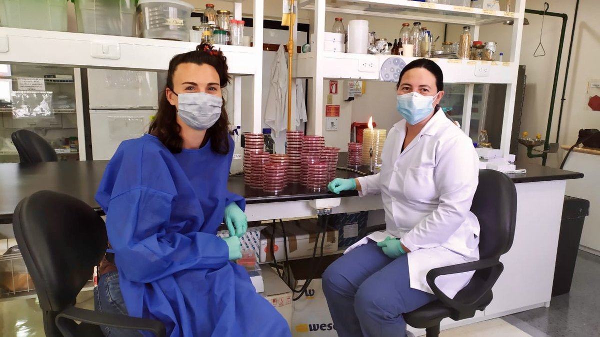Siena Mitman (GHES Fellow, DVM/MPH Tufts) is in Ecuador (in blue) working with her USFQ colleague  María Fernanda Loayza Villa (in white), performing field and laboratory work for Dr. Jay Graham’s NIH R01 “Prevention of community-acquired antimicrobial resistance (PRISA)”