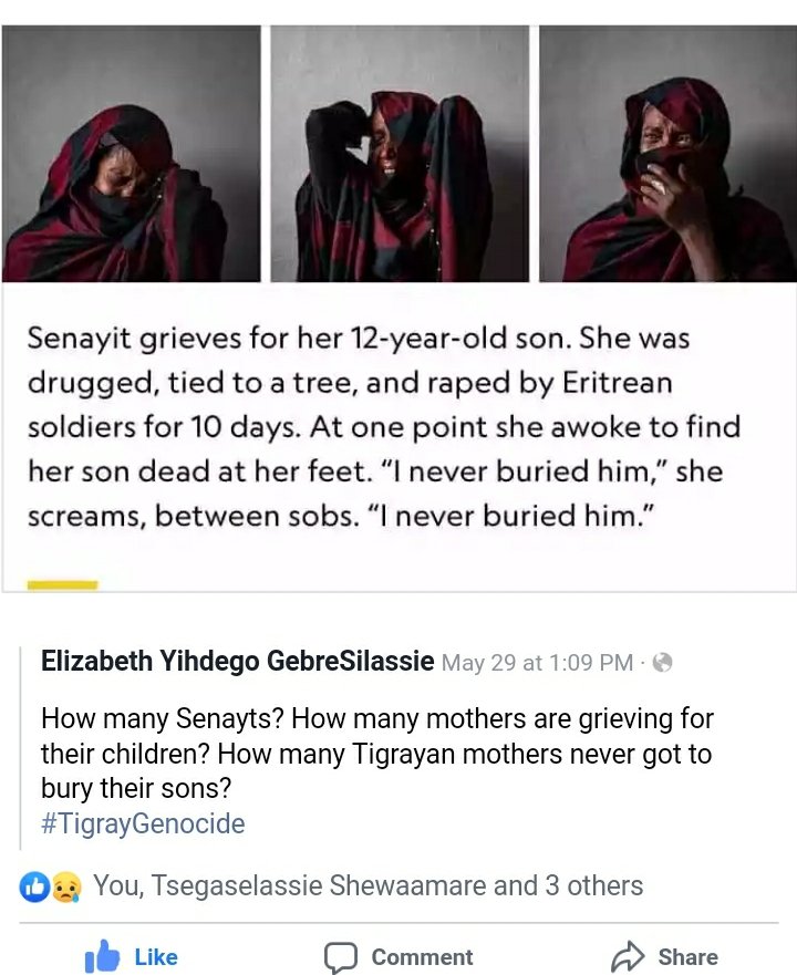 For those whom concerned western and others after u read z story Please for z sake of those innocent girls , help zs society for z sake of human being , for more atrocity and crime ; genocide check my page and z post most tigrayans posted