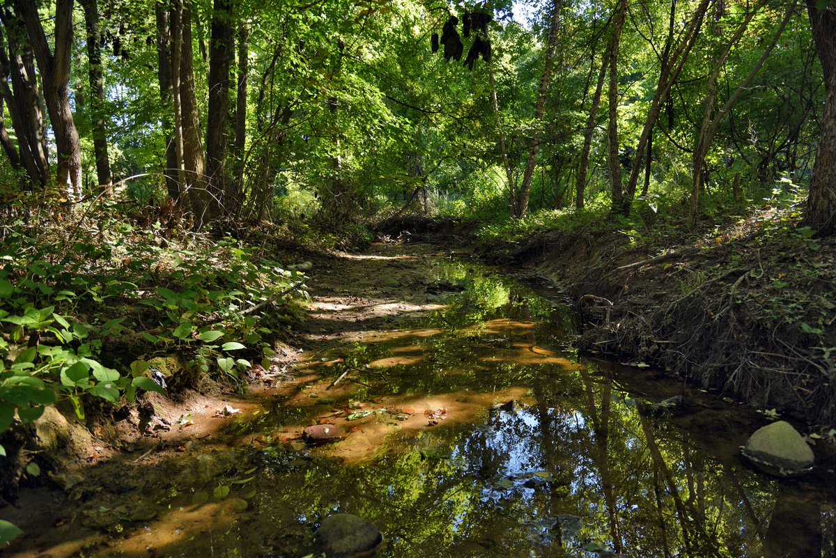 KensingerNathan's tweet photo. Springtime fun: I'm leading walks along two very different urban waterways at opposite ends of the city this weekend. On Saturday I'll be hiking around Staten Island's Lemon Creek with @nyc_h2o and on Sunday I'll be tracking Flushing Creek in Queens with @ColumbiaGSAPP. https://t.co/rdr8fTTsQC
