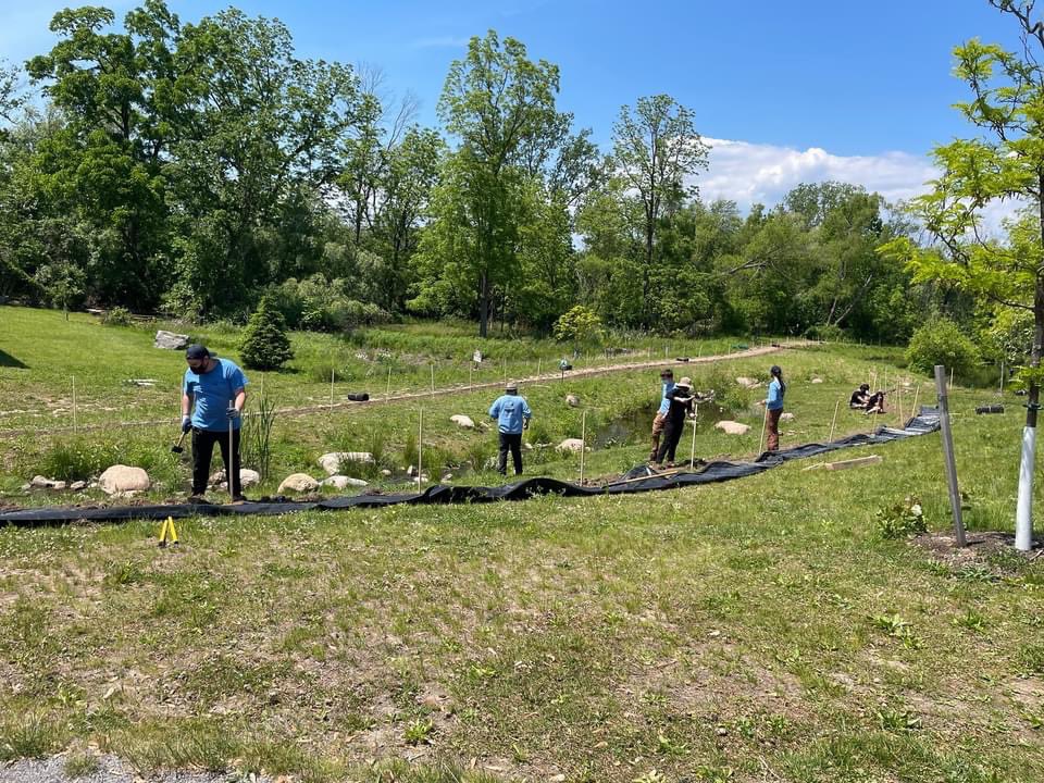parkschoolbflo's tweet image. In partnership with WNY PRISM, the Park community began the installation of a fence as part of conservancy efforts to manage the invasive Red Swamp Crayfish in the stream. Many thanks to all who helped! #ActiveLearning #AlwaysLeading #SolvingComplexProblems