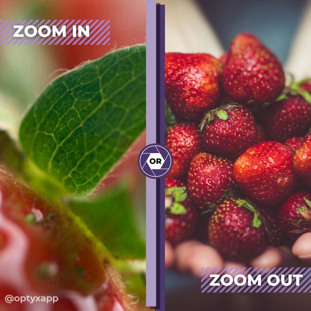 OptyxApp's tweet photo. Who's mouth is watering now? Summer strawberries are the best!

#OptyxApp #PhotographyWorkflow #ImageSelection #PhotoCulling https://t.co/4jYU4iAmia