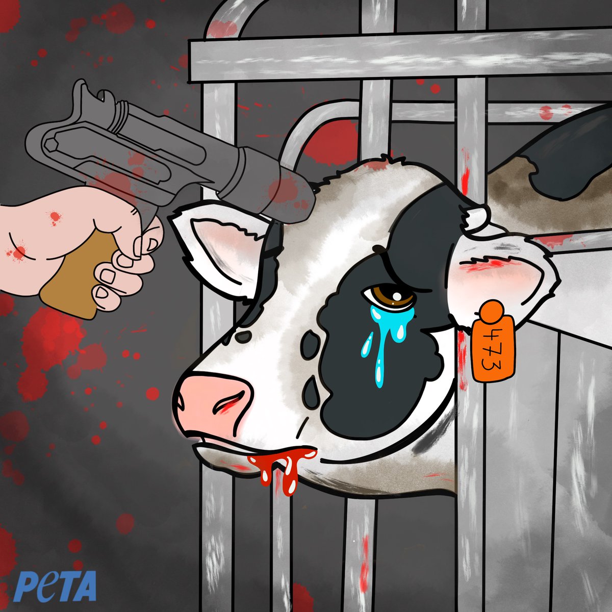 PETA UK tweet media