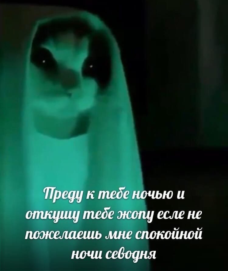 DonutLoverAlex's tweet photo. Я: пишу проект
Я, заебавшись писать проект: О да, это время для странных твитов в 2 часа ночи
А вот рандомный мем с котиком: https://t.co/ulTWI2LTzE