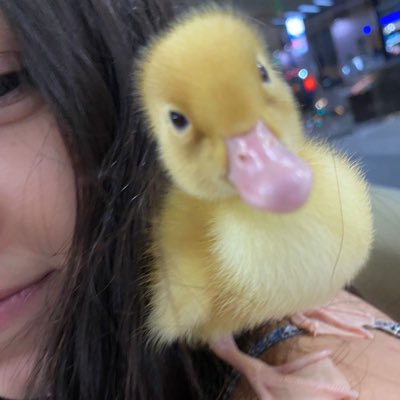 Caromunfra's tweet photo. #NuevaFotoDePerfil https://t.co/sy6ahe7FW1