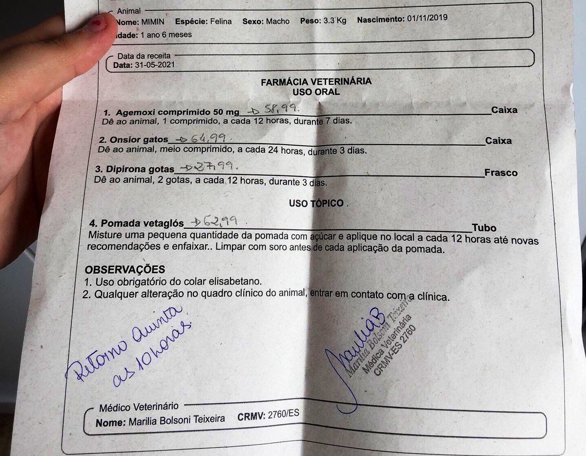 bevwrages's tweet photo. Oi gente será que poderiam me ajudar? Meu gato está doente com a pata bastante inflamada e gostaria de pedir a ajuda de vocês com doações ou dando rt para me ajudarem a conseguir o dinheiro para os remédios do meu gatinho. https://t.co/S1FckOglUE