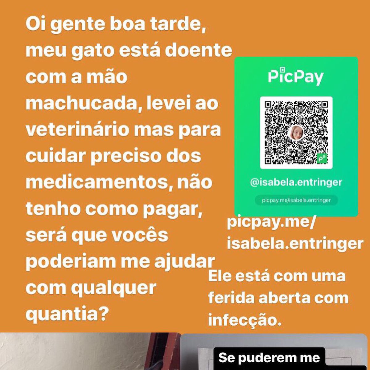 bevwrages's tweet photo. Oi gente será que poderiam me ajudar? Meu gato está doente com a pata bastante inflamada e gostaria de pedir a ajuda de vocês com doações ou dando rt para me ajudarem a conseguir o dinheiro para os remédios do meu gatinho. https://t.co/S1FckOglUE