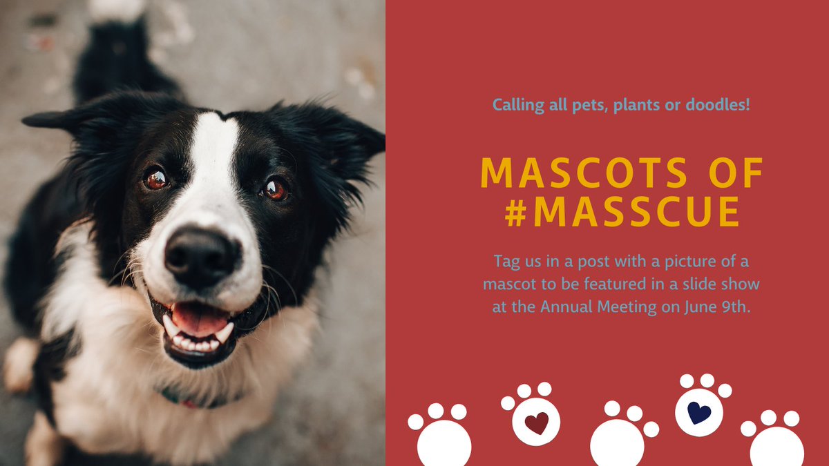 MassCUE's tweet photo. It’s a dog eat dog world, but how could we choose just one? Keep your mascot pics coming our way, then register for our June 9th Annual Meeting. https://t.co/xFO96kCGom Mascots of #MassCUE @rlfreedm @cjgosselin @mrsmacgregor206 @capecodlibrary @JCollinsMA https://t.co/LyPkeIzqZS