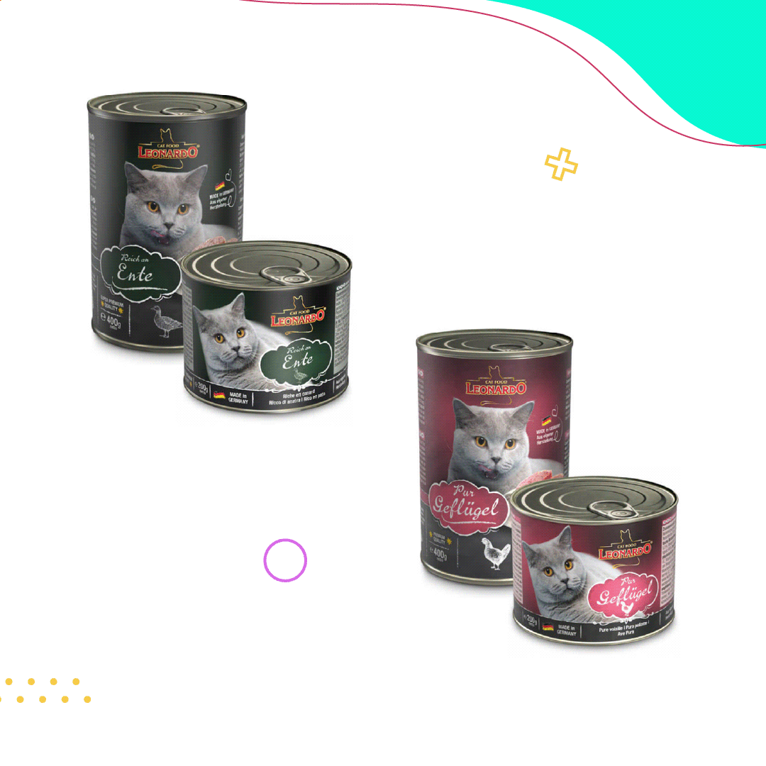 Felinuscl's tweet photo. El alimento Leonardo es una excelente alternativa para tu Gato 🐱💫 Disfruta toda la línea con descuentos y ofertas asombrosas! Vive con nosotros este #CyberCat y etiquétanos en tus historias! 🛍️💜 
.
.
.
#CyberDay #Cyber2021 #Gatos #GatosChile #AlimentoLeonardo https://t.co/byAxmi8FlH