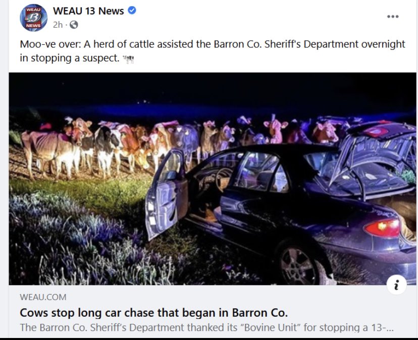 I guess if folks are all in favor of defunding police,  an impromptu posse of responsible bovine citizenry may be a solution.