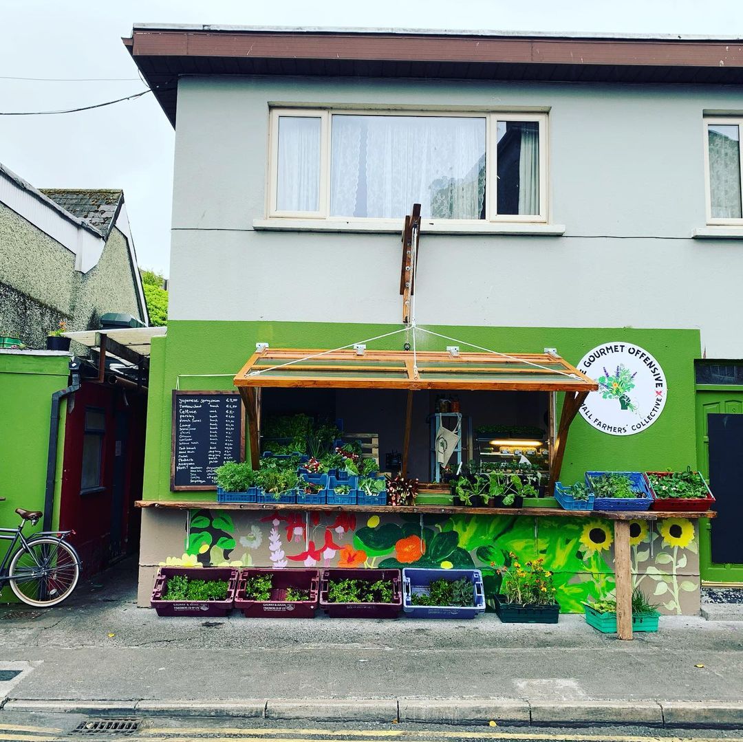 ThisIsGalway's tweet photo. A vibrant splash of colour and a fantastic idea 💚🥕

The Small Farmers Collective by @TGOfalafel is a pop-up veg shop in collab with five local farms 🙌🚜 Open Thurs &amp; Fri from 11am-7pm with a view to opening more days in the future 🙏 

📸  by @massimo_cattaneo  on Instagram https://t.co/rPRsXOTYEt