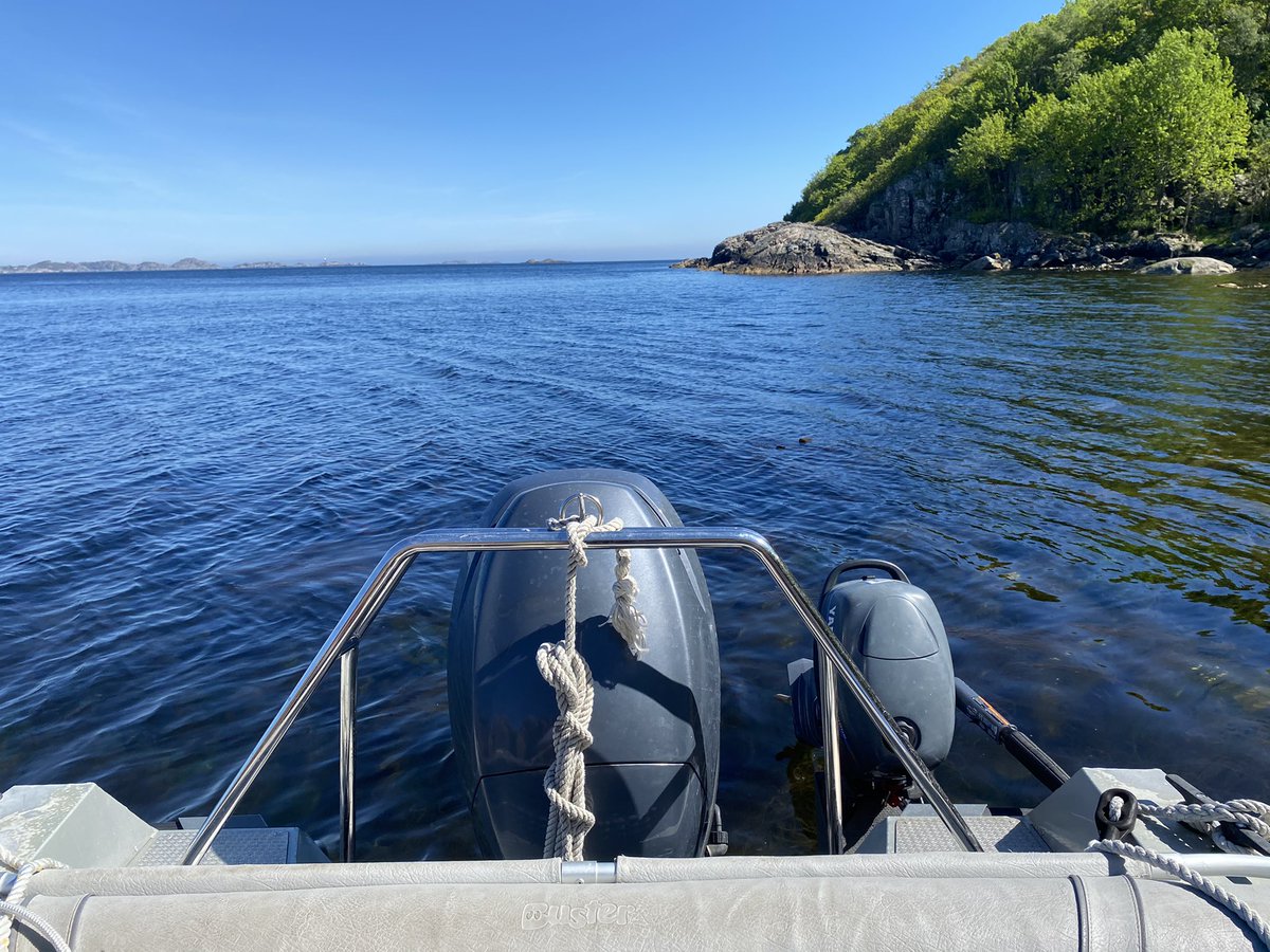 ELEMENTARY6's tweet photo. Summer sampling campaign for the #ELEMENTARY crew. Investigating the presence of anthropogenic #rareearths In Lindesnes #norway @SINTEF @OceansNTNU @NTNU https://t.co/uv35b8fFjo