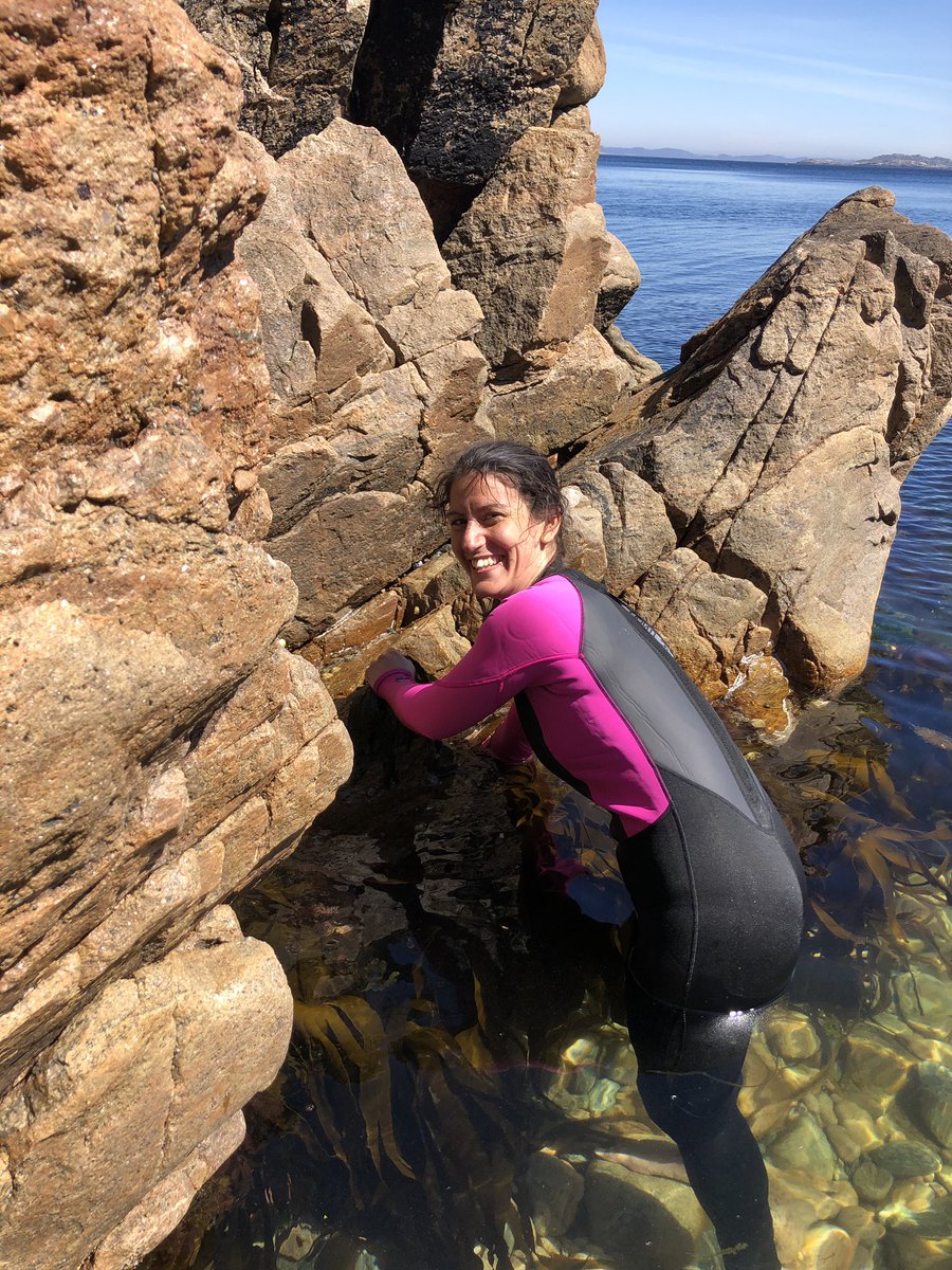 ELEMENTARY6's tweet photo. Summer sampling campaign for the #ELEMENTARY crew. Investigating the presence of anthropogenic #rareearths In Lindesnes #norway @SINTEF @OceansNTNU @NTNU https://t.co/uv35b8fFjo